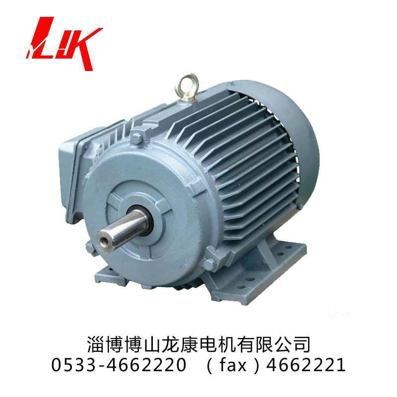 Y2係列交流電機